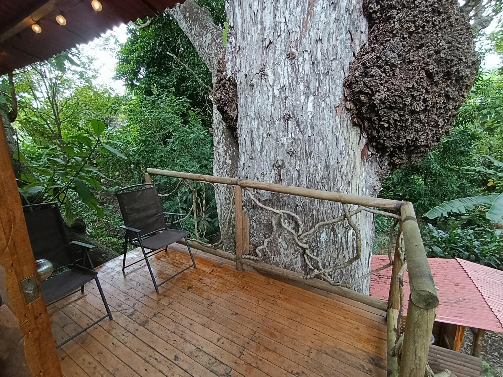 Treehouse Tayrona Santa Marta (Magdalena)